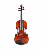 Eastman VA701 Rudoulf Doetsch Professional Viola - 15.5-inch