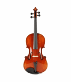 Eastman VA701 Rudoulf Doetsch Professional Viola - 16.5-inch