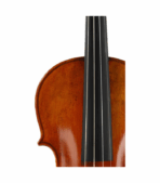 Eastman VL928 Raúl Emiliani Professional Violin - 4/4 Size - Image 5